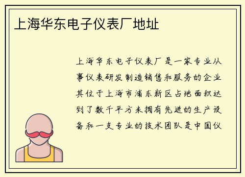 上海华东电子仪表厂地址